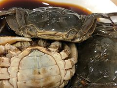 -红灯笼龙凤饭店(宁波老字号店)