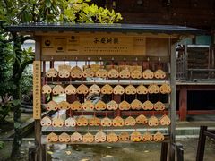 -医王山·飞騨国分寺