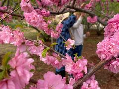 -北京西山国家森林公园