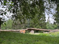 -北京野生动物园