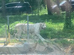 -秦皇岛野生动物园