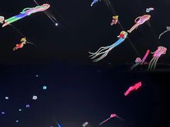 -巨鹏飞梦幻海岸