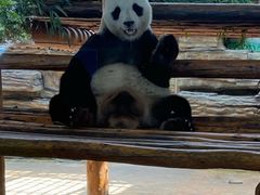 -西霞口神雕山野生动物世界