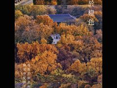 -灵谷景区