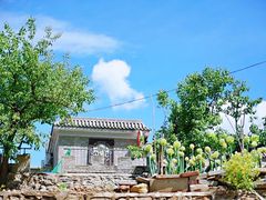 -白河湾生态旅游一条川