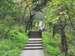 -帽儿山国家森林公园