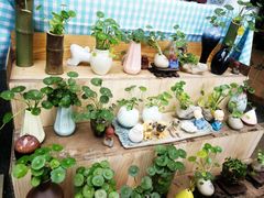 -三圣花乡旅游区