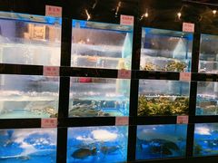 水产区-院8里·少城记忆老川菜(宽窄巷子店)