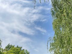 -鹫峰国家森林公园