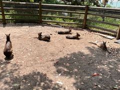 -苏州太湖西山岛开心农场