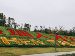 -深圳湾公园(南山区)