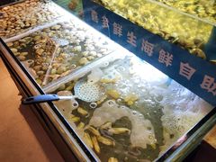 水产区-喜多鲜生海鲜自助(无锡旗舰店)