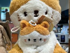 -猫的天空之城概念书店(杭州南宋御街店)