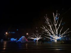 -北京市海淀外国语实验学校