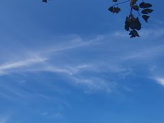 -沈阳森林动物园