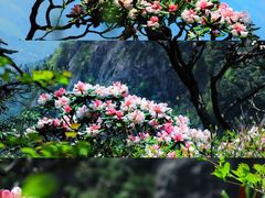 -明堂山风景区