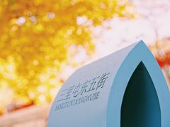 -三里屯东五街银杏大道