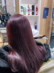 -环球蝶上美业连锁