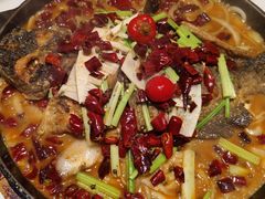 -老板恋上鱼(恒隆广场店)