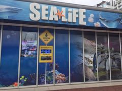 -悉尼海洋生物水族馆