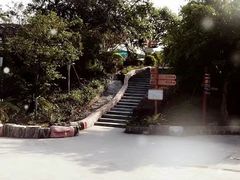-丹樱生态园