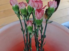 -盒马鲜生(馥邦国际店)