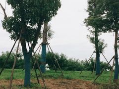 -嘉北郊野公园