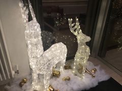 -因特拉肯贝乌里瓦奇大酒店