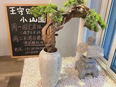 -王守财小山園