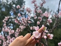 -森林公园(尖草坪区)