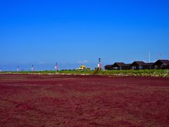 -红海滩国家风景廊道