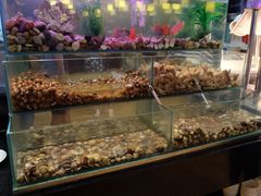 -城市名人酒店喝彩西餐厅(人民南路店)