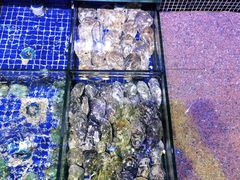 -青蓬蒸汽海鲜·深圳老字号·团建聚会(壹方城店)