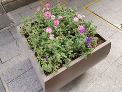 -环球188广场