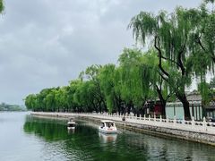 -东兴顺爆肚张