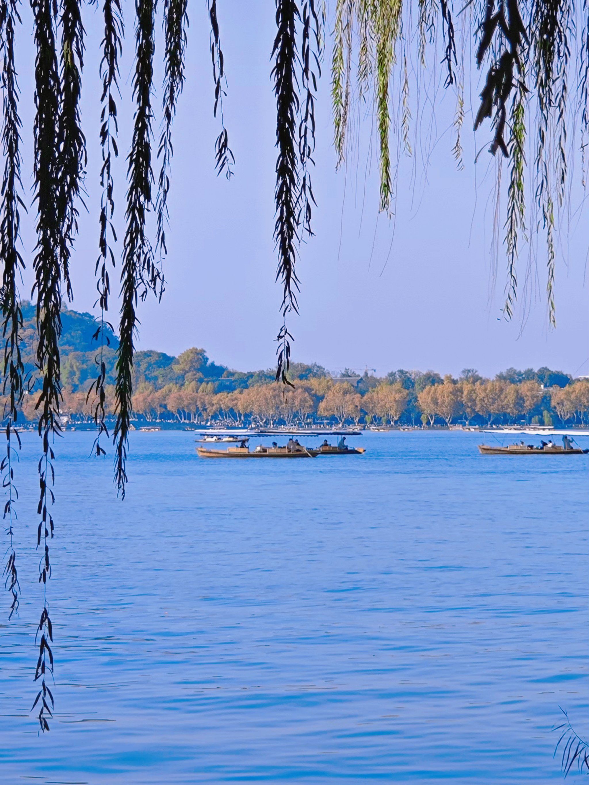冬日暖阳下❗在杭州沿西湖徒步一万遍也不厌倦❗