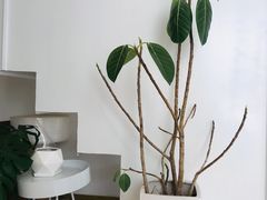 -花沐 FLOWER BATH(凤凰城店)