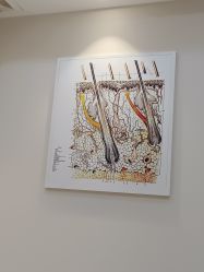 -雍禾植发全国连锁