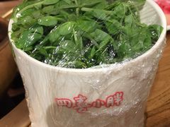 -四喜小胖·北京涮肉(五道营店)