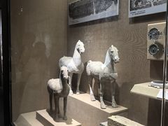 -烟台市博物馆