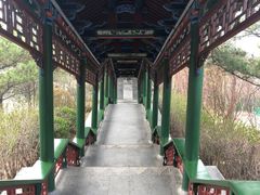 -迎泽公园