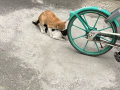 -红牌楼老号串串(银海佳苑店)