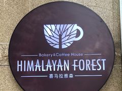 -喜马拉雅森HIMALAYAN FOREST