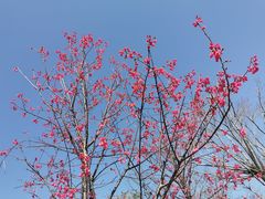 -牛岗山公园