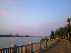 -五缘湾湿地公园