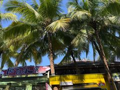 -海南分界洲岛旅游区