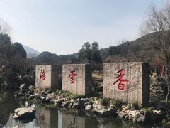 -香雪海