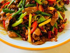 -白天鹅家宴·东北菜