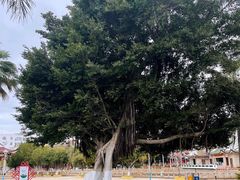 -集美鳌园景区
