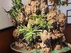 -成老灶火锅鸡(平山店)